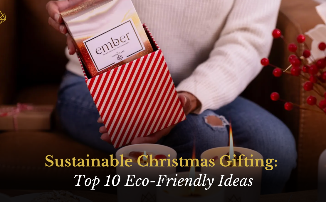 Test - Sustainable Christmas Gifting: Top 10 Eco-Friendly Ideas Story Banner